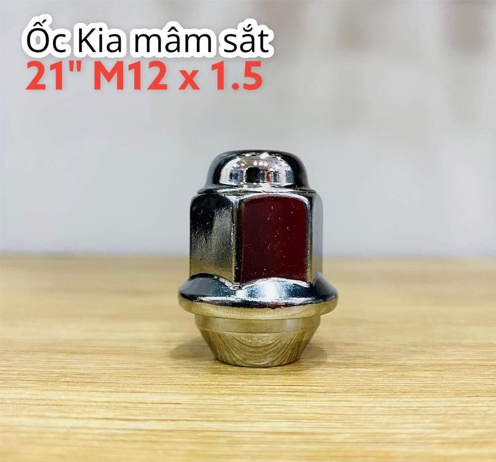 Ốc Kia Mâm sắt 21" M12 x 1.5